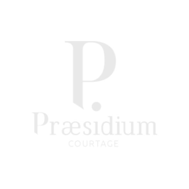 Projet cabinet de courtage Praesidium