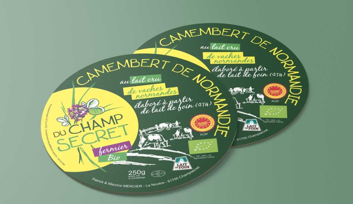 camembert-de-normandie-articles-empreinte-graphic