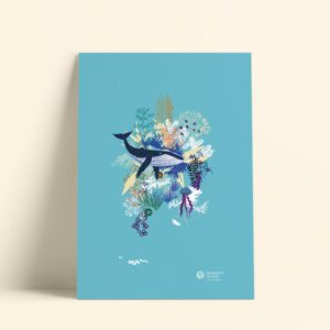 La Baleine - Illustration printemps